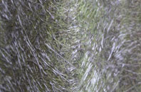 Mill Of Pitcaple fibreglass roof work